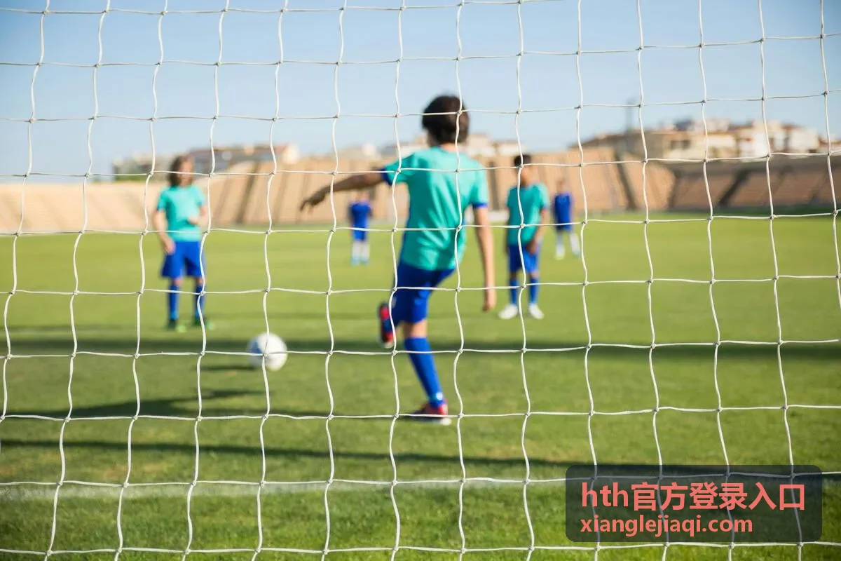 hth官方登录入口 账号安全与登录状态核对界面